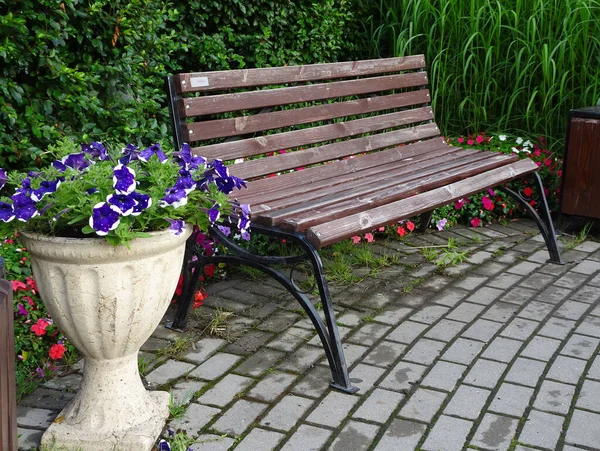 Wooden Bench Stone Vase Flowers Paved Walkway High Quality Photo — Stock Photo, Image