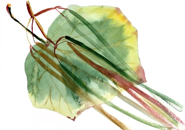 Höst Herbarium Gul Grön Katalpa Blad Och Skida Akvarell Ritning — Stockfoto