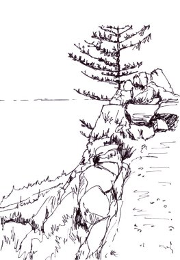 Baykal Gölü kıyısında karaçam, grafik siyah beyaz çizim, seyahat çizimi. Yüksek kaliteli illüstrasyon