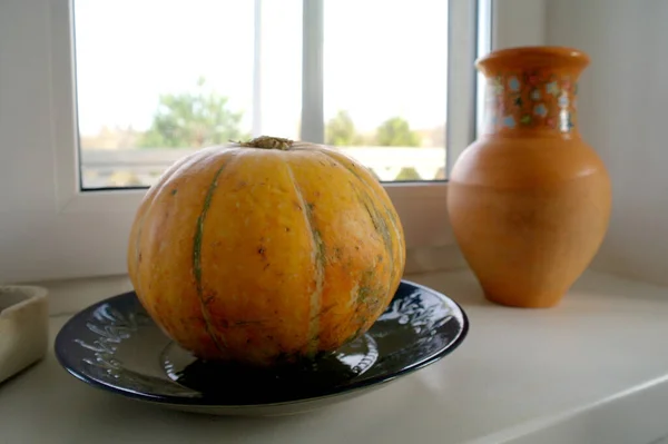 橙色南瓜和彩绘陶瓷壶在白色窗台上 有选择的焦点 高质量的照片 — 图库照片