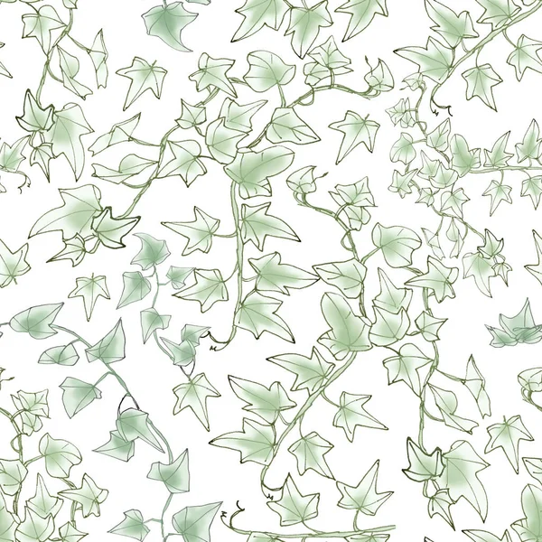 无缝图案 常春藤绿色枝条 图形线形图案 植物草图 高质量的例证 — 图库照片