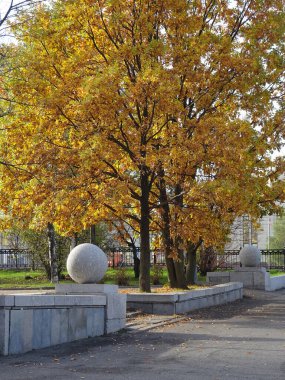 Sonbahar yeşillik arka planında heykel granit balosu, seçici odaklanma. Yüksek kalite fotoğraf