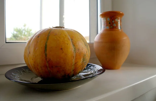 Abóbora Laranja Jarro Cerâmico Pintado Peitoril Janela Branca Foco Seletivo — Fotografia de Stock