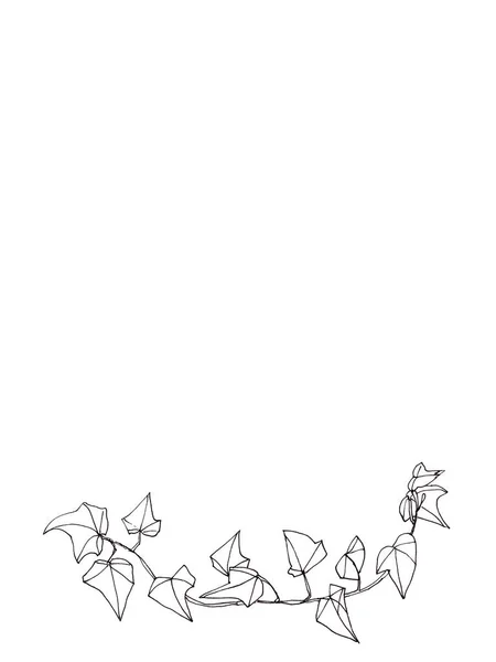 Kopierraum Und Efeuzweig Schwarz Weißes Grafisches Lineares Muster Botanische Skizze — Stockfoto