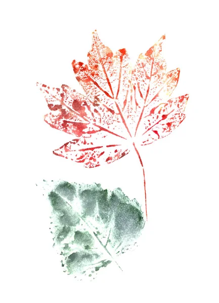 Zestaw Jesiennych Liści Akwareli Białym Tle Wysokiej Jakości Ilustracja — Zdjęcie stockowe