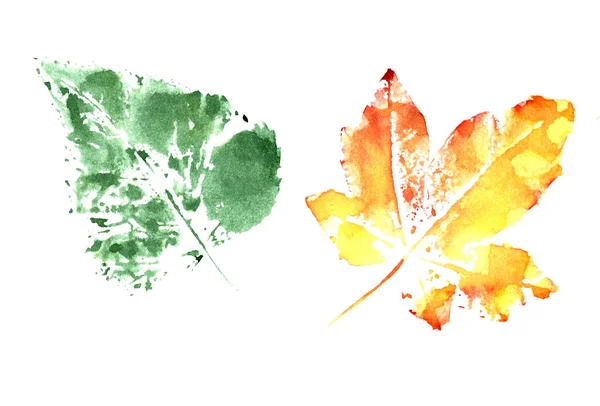 Set Autumn Watercolor Leaves White Background High Quality Illustration — Stock Photo, Image