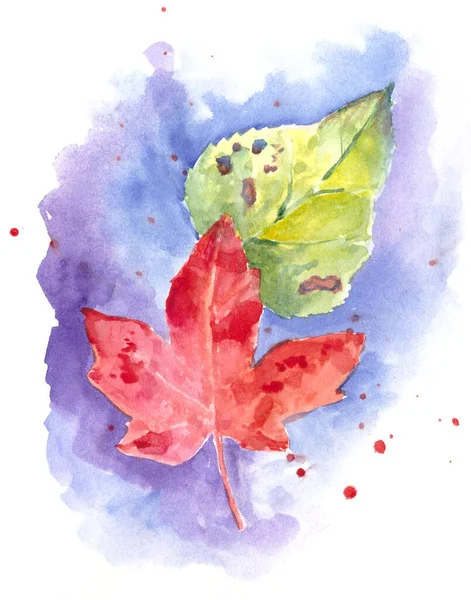 Set Autumn Watercolor Leaves Blue Background High Quality Illustration — Stock Photo, Image