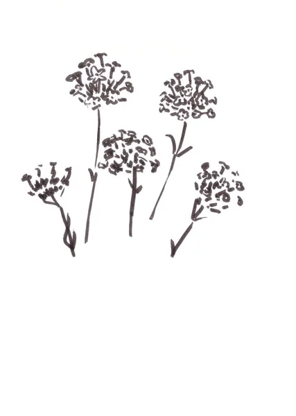 Set van kleine bloeiwijzen, grafisch zwart-wit patroon — Stockfoto