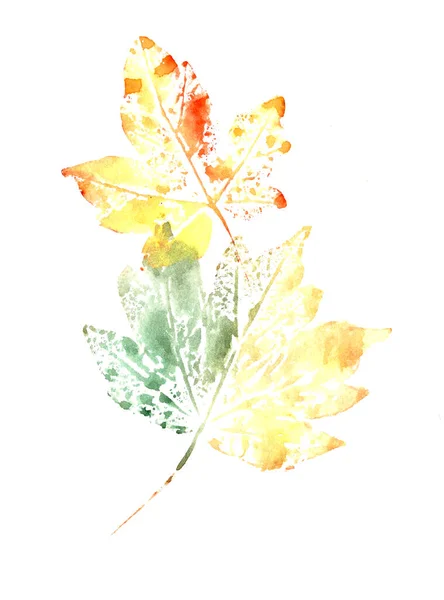 Set van herfst aquarel bladeren op een witte achtergrond — Stockfoto