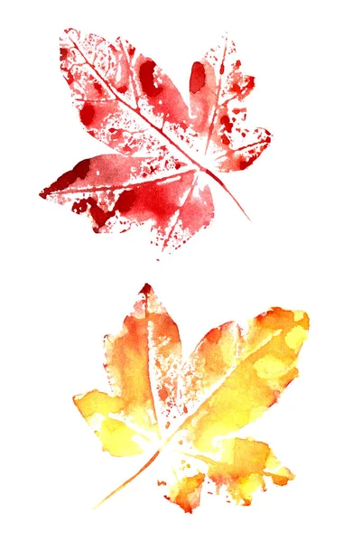 Set Autumn Watercolor Leaves White Background High Quality Illustration — Stock Photo, Image