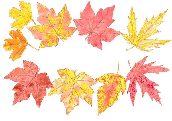 가을의 노란색 오렌지 단풍나무 프레임은 그래픽그리기 공간이다 질높은 — 스톡 사진