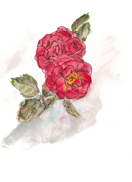 red roses, watercolor graphic drawing, copy space. High quality illustration