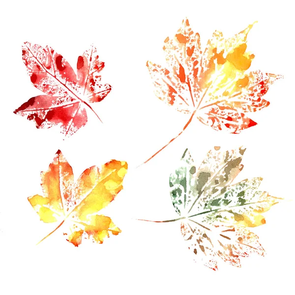 一套秋天的水彩画在白色的背景上 高质量的例证 — 图库照片