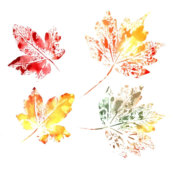 Ensemble Feuilles Aquarelle Automne Sur Fond Blanc Illustration Haute Qualité — Photo