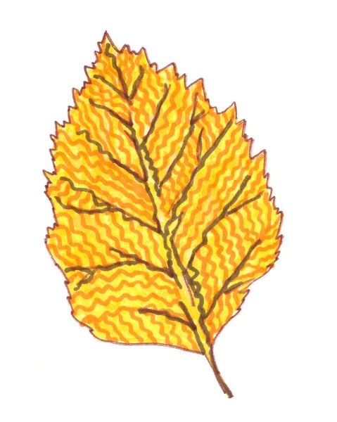 Decorative Ornamental Autumnal Yellow Orange Tree Leaf White Background High — Stock Photo, Image