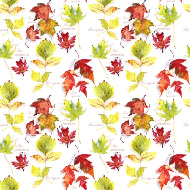 Sonbahar akçaağaç yapraklarının kusursuz desenleri beyaz arka planda, harflerde, suluboya botanik çizimlerinde. Yüksek kaliteli illüstrasyon