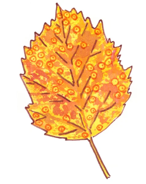 Dekorativní Ornamentální Podzimní Žlutý Oranžový List Stromu Bílém Pozadí Vysoce — Stock fotografie