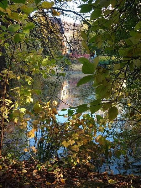 Осенний городской пруд с отражениями, выборочный фокус — стоковое фото