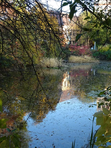 Stagno Città Autunnale Con Riflessi Focus Selettivo Foto Alta Qualità — Foto Stock