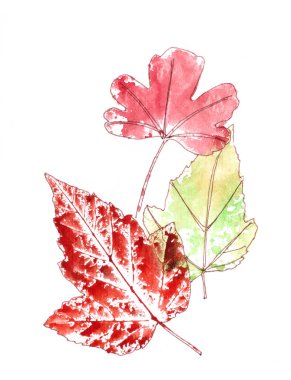 Beyaz arka planda sonbahar suluboya yaprakları. Yüksek kaliteli illüstrasyon