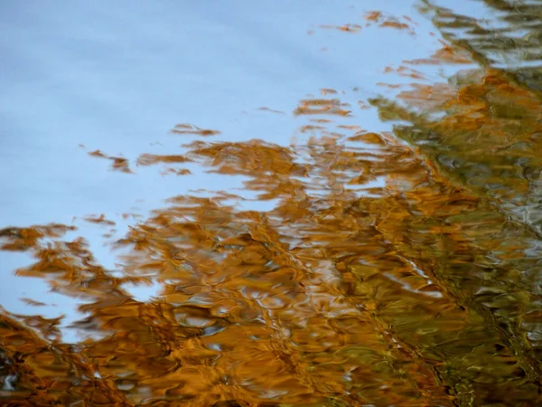 Abstract Texturally Defocused Natural Autumn Blurred Background Reflection Copy Space — Stock Photo, Image