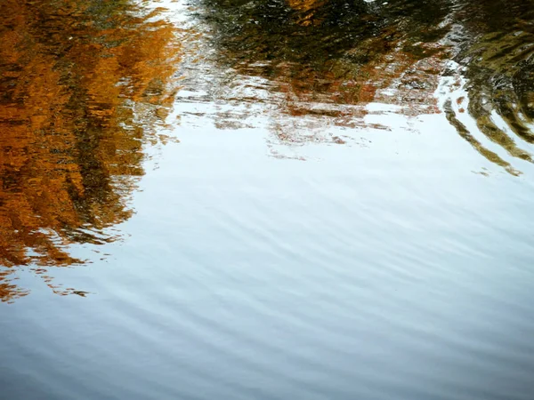 Astratto Testualmente Sfocato Autunno Naturale Offuscata Riflessione Sfondo Spazio Copia — Foto Stock