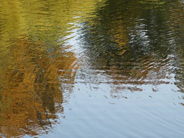 soyut dokusal olarak dağılmış doğal sonbahar bulanık arka plan yansıması, kopyalama alanı. Yüksek kalite fotoğraf