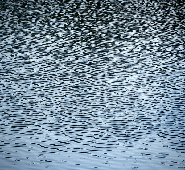 Abstract Natural Background Water Ripples Wind Selective Focus High Quality — Stock Photo, Image