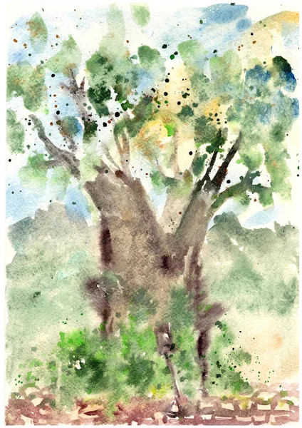 Baobab árbol entre vegetación, acuarela dibujo, boceto de viaje —  Fotos de Stock