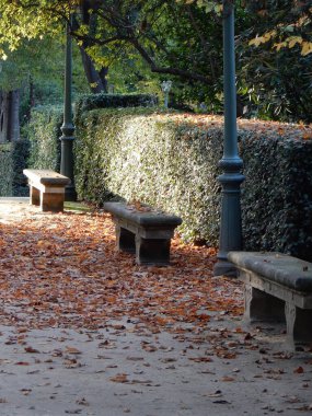 Yürüme yollarında yapraklar ve sarı ağaçlar olan sonbahar parkı seçici bir odak noktası. Yüksek kalite fotoğraf