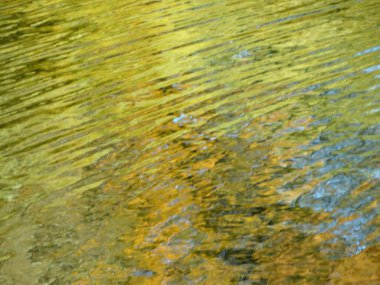 Soyut dokusal olarak dağılmış doğal sonbahar arka plan yansıması, kopyalama alanı. Yüksek kalite fotoğraf