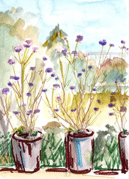 Höst Blommor Suddig Bakgrund Höstparken Akvarell Ritning Högkvalitativ Illustration — Stockfoto