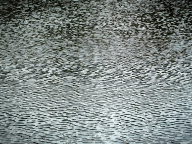 Soyut doğal arka plan su dalgalanmaları rüzgardan, seçici odaklanma. Yüksek kalite fotoğraf