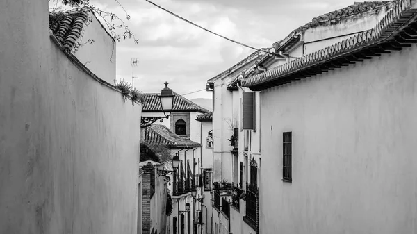 Siyah Beyaz Görüntü Mimarisi Granada Andalusia Güney Spanya — Stok fotoğraf