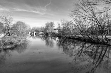 Ortaçağ taş köprü leş Nehri Palencia (Kastilya ve Leon), İspanya (siyah beyaz resim)
