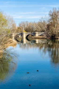 Ortaçağ taş köprü leş Nehri Palencia (Kastilya ve Leon), İspanya