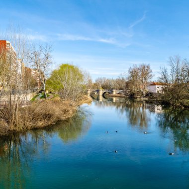 Ortaçağ taş köprü leş Nehri Palencia (Kastilya ve Leon), İspanya