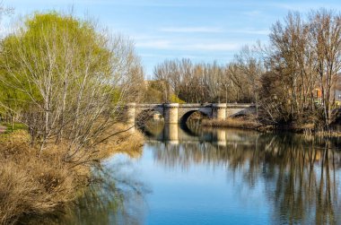 Ortaçağ taş köprü leş Nehri Palencia (Kastilya ve Leon), İspanya