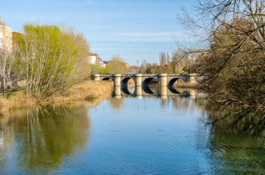Ortaçağ taş köprü leş Nehri Palencia (Kastilya ve Leon), İspanya