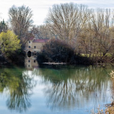Leş nehre (Kastilya ve Leon), Palencia şehir görünümünü İspanya
