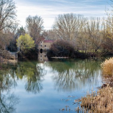 Leş nehre (Kastilya ve Leon), Palencia şehir görünümünü İspanya