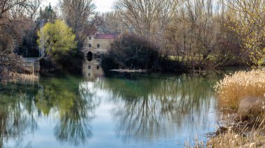 Leş nehre (Kastilya ve Leon), Palencia şehir görünümünü İspanya