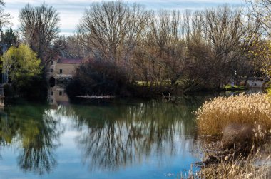 Leş nehre (Kastilya ve Leon), Palencia şehir görünümünü İspanya