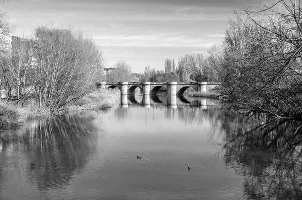 Ortaçağ taş köprü leş Nehri Palencia (Kastilya ve Leon), İspanya (siyah beyaz resim)