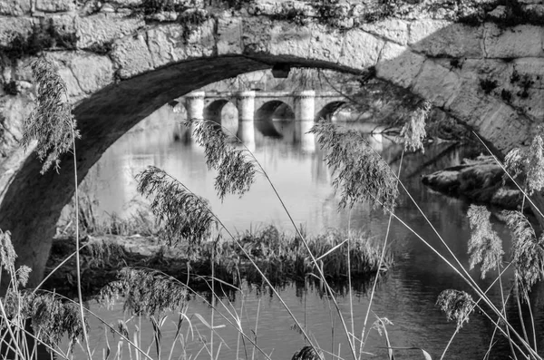 Μεσαιωνική Πέτρινη Γέφυρα Πάνω Από Τον Ποταμό Ψοφίμι Παλένθια Καστίλη — Φωτογραφία Αρχείου