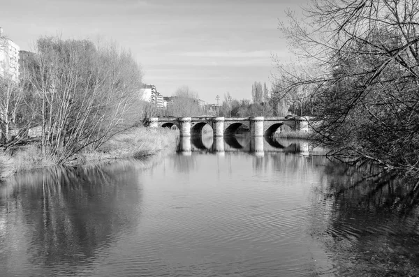 Ortaçağ taş köprü leş Nehri Palencia (Kastilya ve Leon), İspanya (siyah beyaz resim)