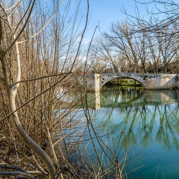 Ponte Medievale Pietra Sul Fiume Carrion Palencia Castiglia Leon Spagna — Foto Stock