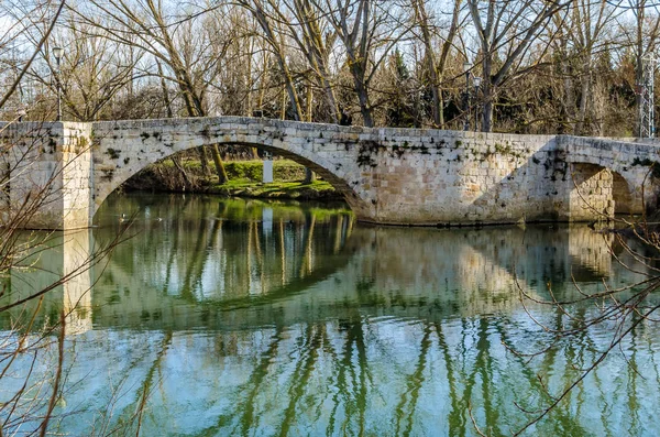 Ponte Pedra Medieval Sobre Rio Carrion Palencia Castela Leão Espanha — Fotografia de Stock