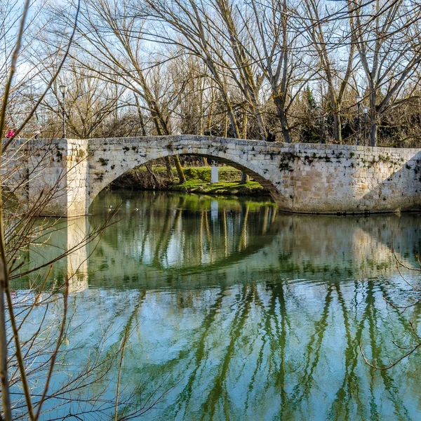 Ponte Medievale Pietra Sul Fiume Carrion Palencia Castiglia Leon Spagna — Foto Stock