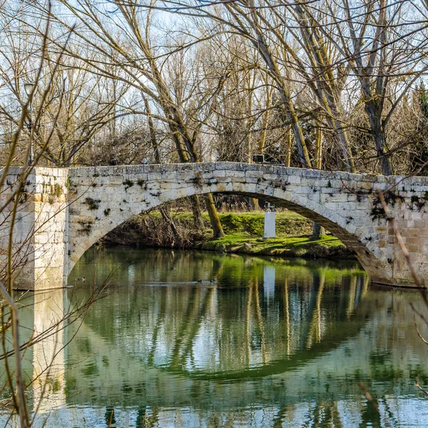 Puente Medieval Piedra Sobre Río Carrión Palencia Castilla León España — Foto de Stock